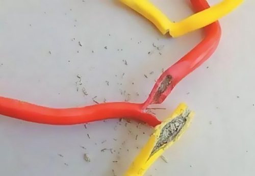 �|(zh��)�����늾�