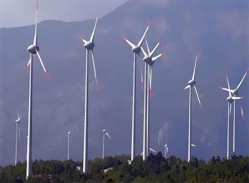 �S˹��˹��Palisade�ṩ�L(f��ng)늈�(ch��ng)����耳׽�Q����