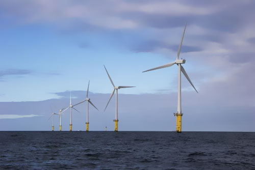 �����r������|�(xi��ng)Ŀ�@�WͶ��1�|�WԪ�J��